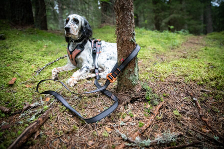 Non-Stop Dogwear - Touring bungee verstelbaar