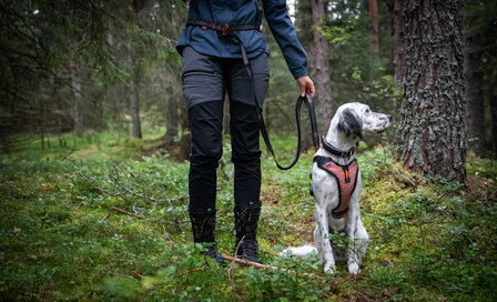 Non-Stop Dogwear - Touring bungee verstelbaar