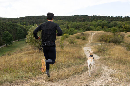 Non-Stop Dogwear - Trail light belt
