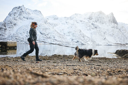 Non-Stop Dogwear - Trail light belt