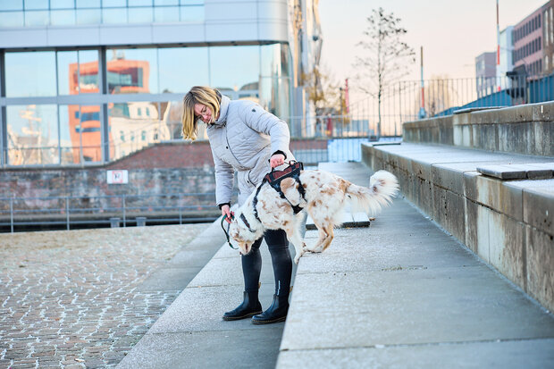 Non stop dogwear - Rock Harness long 