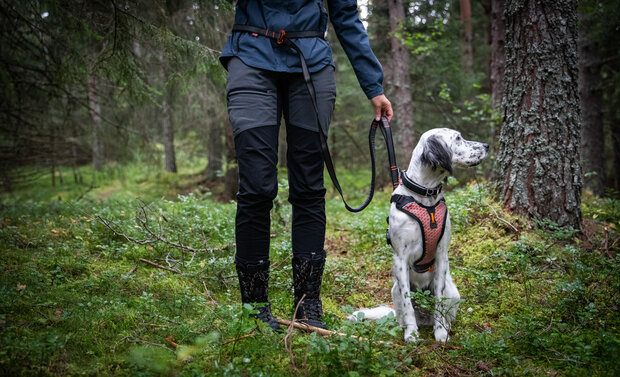 Non-Stop Dogwear - Touring bungee verstelbaar