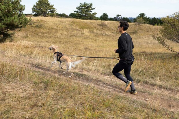 Non-Stop Dogwear - Trail light belt