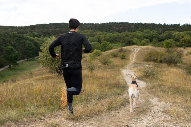 Non-Stop Dogwear - Trail light belt
